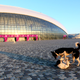 Illustration for article titled The Dogs Of Sochi